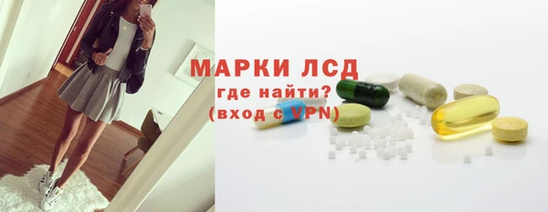ГАЛЛЮЦИНОГЕННЫЕ ГРИБЫ Корсаков