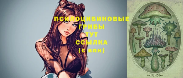 спиды Кулебаки